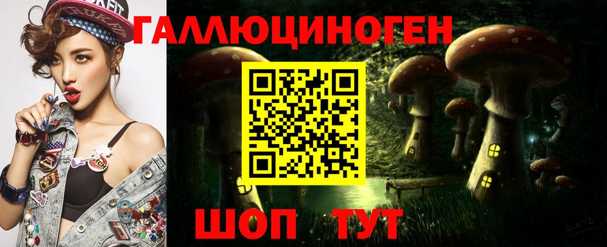 Ейск  как найти закладки  Вход с VPN  Псилоцибиновые грибы Psilocybe  Псилоцибиновые грибы Cubensis 